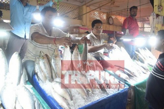 Hilsa fish price hikes in Tripura for foodie son-in-laws on â€˜Jamai Shashtiâ€™